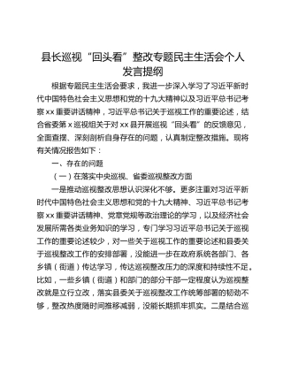 县长巡视“回头看”整改专题民主生活会个人发言提纲