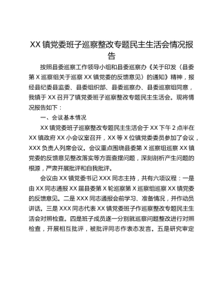 XX镇党委班子巡察整改专题民主生活会情况报告