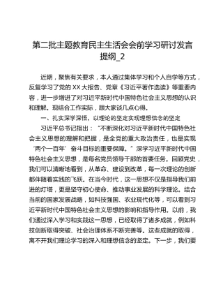 第二批主题教育民主生活会会前学习研讨发言提纲_2