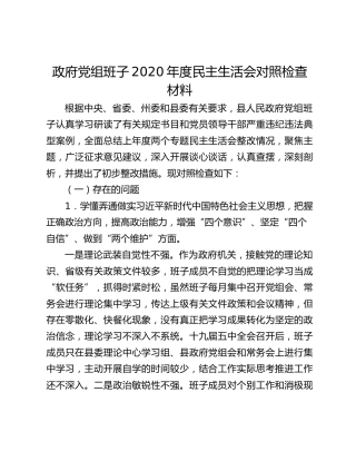 政府党组班子2020年度民主生活会对照检查材料