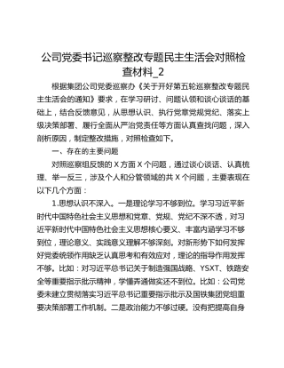 公司党委书记巡察整改专题民主生活会对照检查材料_2