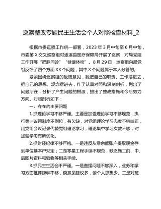 巡察整改专题民主生活会个人对照检查材料_2