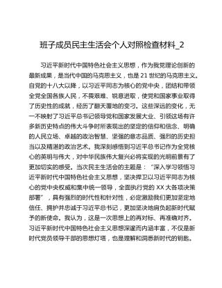 班子成员民主生活会个人对照检查材料_2