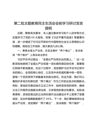 第二批主题教育民主生活会会前学习研讨发言提纲 (2)_2