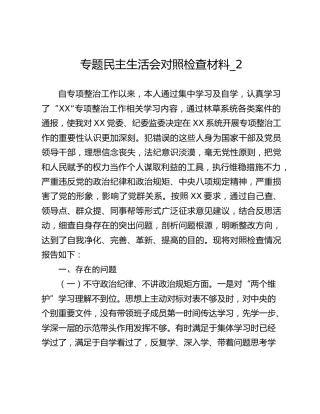 专题民主生活会对照检查材料_2