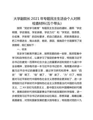 大学副院长2021年专题民主生活会个人对照检查材料(五个带头)