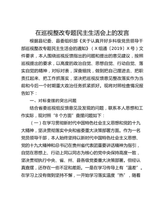 在巡视整改专题民主生活会上的发言
