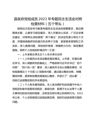 县政府党组成员2021年专题民主生活会对照检查材料（五个带头）