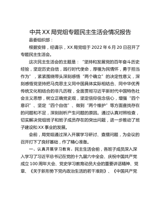 中共XX局党组专题民主生活会情况报告