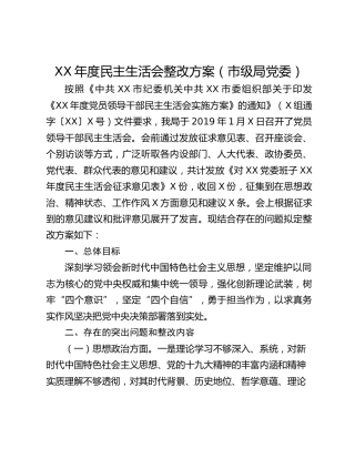 XX年度民主生活会整改方案（市级局党委）