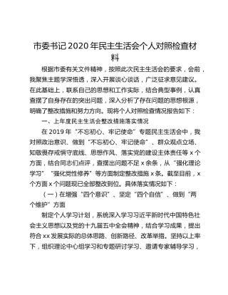 市委书记2020年民主生活会个人对照检查材料