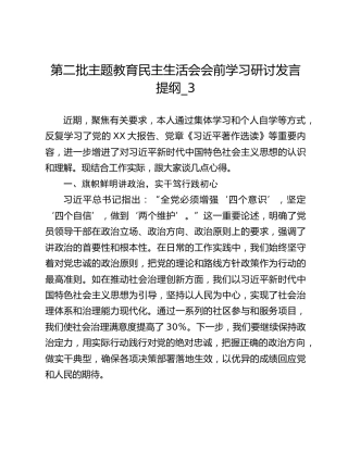 第二批主题教育民主生活会会前学习研讨发言提纲_3