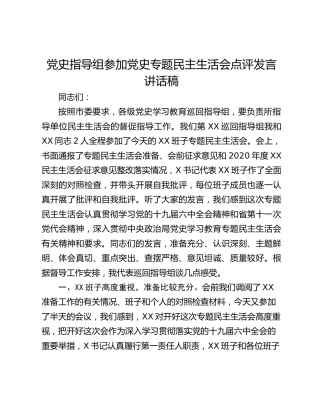 党史指导组参加党史专题民主生活会点评发言讲话稿