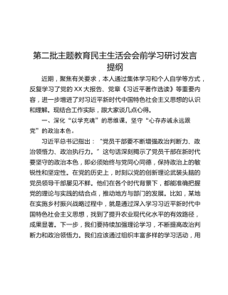 第二批主题教育民主生活会会前学习研讨发言提纲 (3)_2