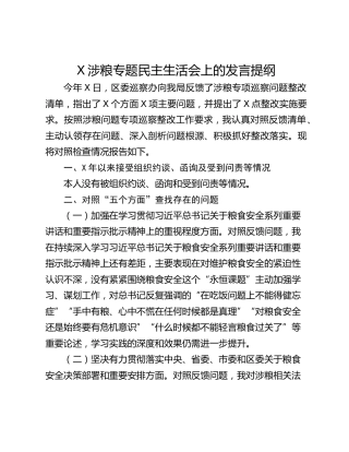 X涉粮专题民主生活会上的发言提纲