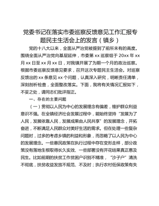 党委书记在落实市委巡察反馈意见工作汇报专题民主生活会上的发言（镇乡）