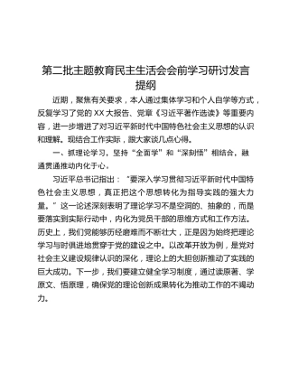 第二批主题教育民主生活会会前学习研讨发言提纲 (5)_2
