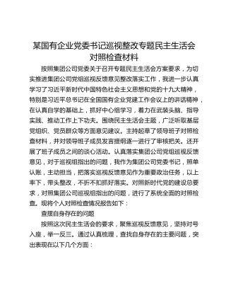 【民主生活会】某国有企业党委书记巡视整改专题民主生活会对照检查材料