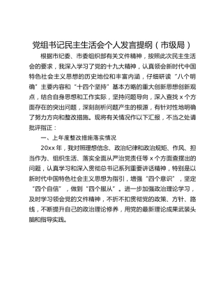 党组书记民主生活会个人发言提纲（市级局）