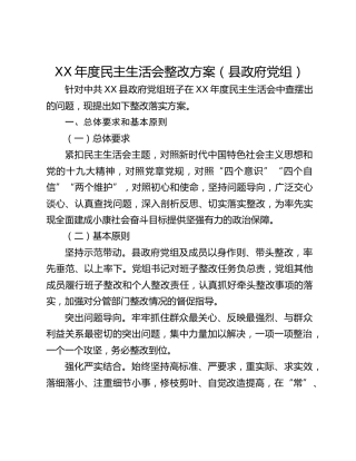 XX年度民主生活会整改方案（县政府党组）