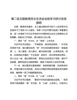 第二批主题教育民主生活会会前学习研讨发言提纲 (7)_2