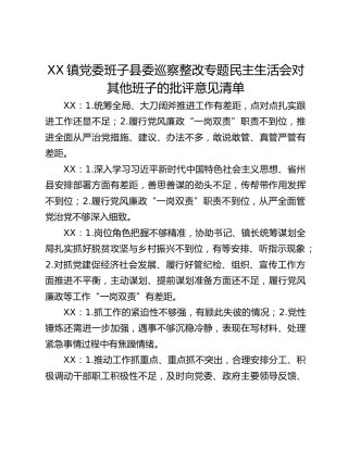 XX镇党委班子县委巡察整改专题民主生活会对其他班子的批评意见清单