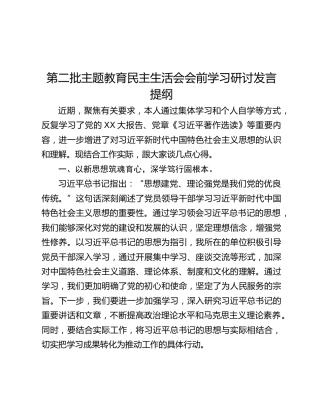 第二批主题教育民主生活会会前学习研讨发言提纲 (9)_2