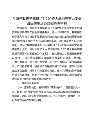 乡镇党政班子郑州“7·20”特大暴雨灾害以案促改民主生活会对照检查材料