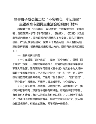 领导班子成员第二批“不忘初心、牢记使命”主题教育专题民主生活会检视剖析材料