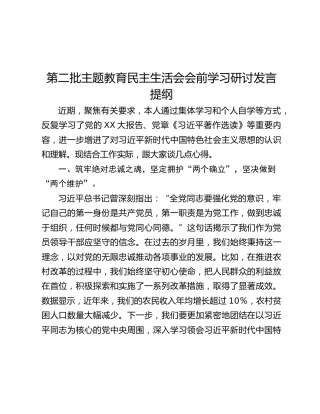 第二批主题教育民主生活会会前学习研讨发言提纲 (11)_2