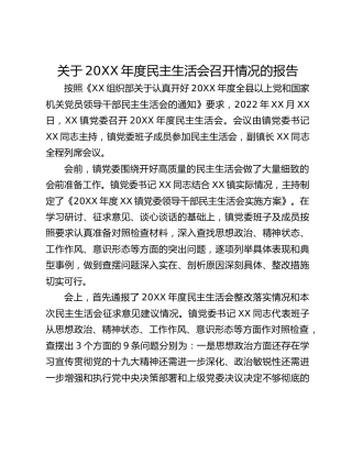 关于20XX年度民主生活会召开情况的报告