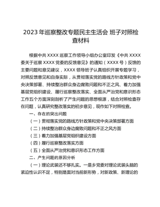 2023年巡察整改专题民主生活会 班子对照检查材料