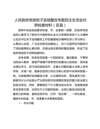 人民政府党组班子巡视整改专题民主生活会对照检查材料（区县）