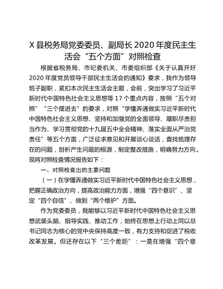 X县税务局党委委员、副局长2020年度民主生活会“五个方面”对照检查