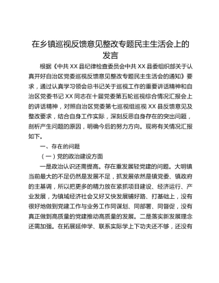 在乡镇巡视反馈意见整改专题民主生活会上的发言