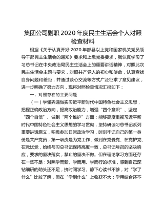 集团公司副职2020年度民主生活会个人对照检查材料