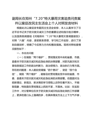 副局长在郑州“7.20”特大暴雨灾害追责问责案件以案促改民主生活会上个人对照发言材料