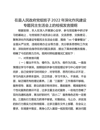 在县人民政府党组班子2022年深化作风建设专题民主生活会上的检视发言提纲