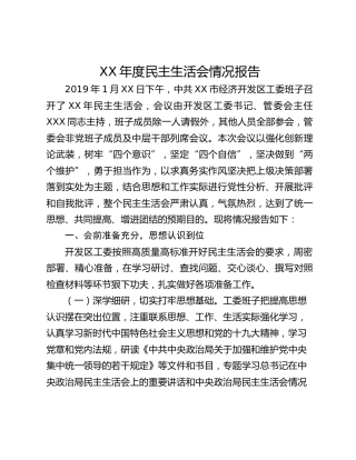 XX年度民主生活会情况报告