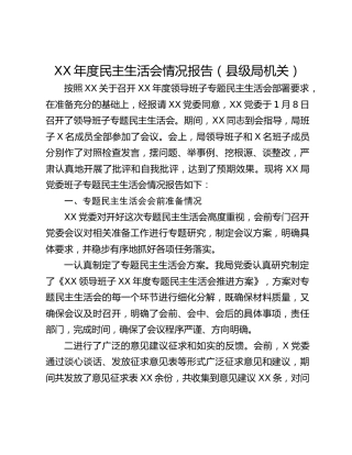 XX年度民主生活会情况报告（县级局机关）