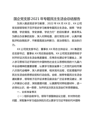 国企党支部2021年专题民主生活会总结报告