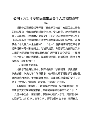 公司2021年专题民主生活会个人对照检查材料