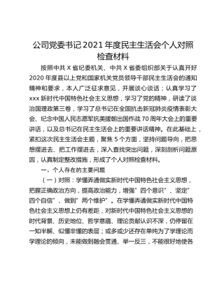 公司党委书记2021年度民主生活会对照检查材料