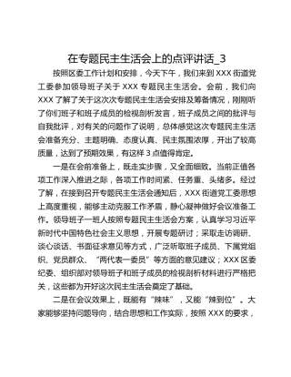 在专题民主生活会上的点评讲话_3