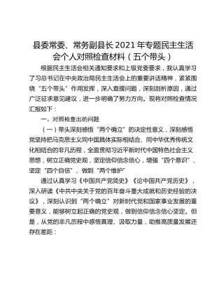 县委常委、常务副县长2021年专题民主生活会个人对照检查材料（五个带头）