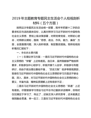 2019年主题教育专题民主生活会个人检视剖析材料（五个方面）
