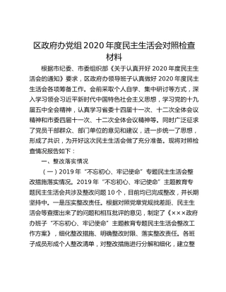区政府办党组2020年度民主生活会对照检查材料