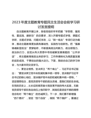 2023年度主题教育专题民主生活会会前学习研讨发言提纲 (3)_2