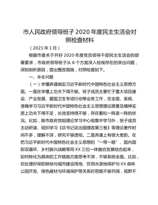 市人民政府领导班子2020年度民主生活会对照检查材料