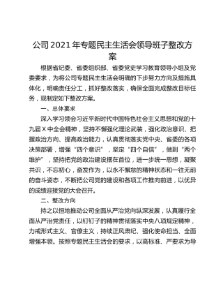 公司2021年专题民主生活会领导班子整改方案